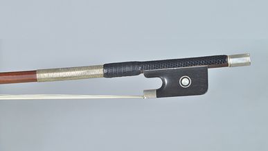 Aktuelle Informationen zu CITES-Artenschutzregelungen 2026