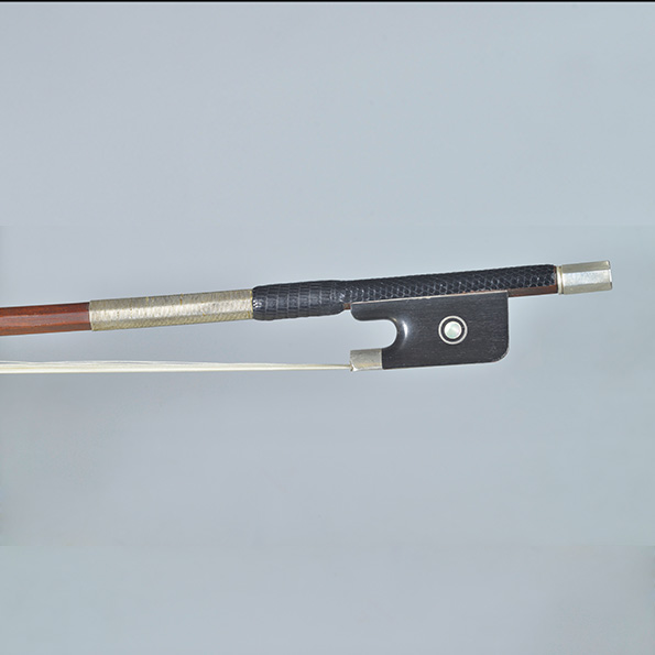 Aktuelle Informationen zu CITES-Artenschutzregelungen 2026